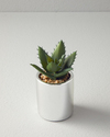 Succulent Vazolu Yapay Çiçek Silver