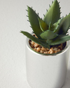 Succulent Vazolu Yapay Çiçek Silver