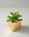 Succulent Vazolu Yapay Çiçek Yeşil