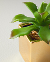 Succulent Vazolu Yapay Çiçek Yeşil