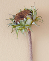 Sunflower Stem Tek Dal Yapay Çiçek Gri