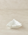 White Pine Dolomite Pasta Tabağı 21 cm Beyaz