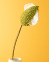 Wild Flower Tek Dal Yapay Çiçek Beyaz