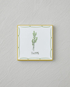 Thyme Seramik Bardak Altlığı 10.8x0.8 cm Beyaz - Yeşil