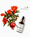 ANTI-AGING YAĞ BAZLI SERUM