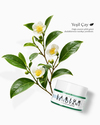 ŞEKER BAZLI MATCHA LIP SCRUB