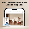 Petkit Yumshare Kameralı Çift Hazneli Akıllı Mama Kabı 2