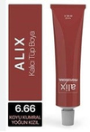 Alix Tüp Boya 6.66