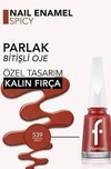 Flormar Oje 539 Spicy