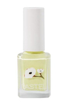 Pastel Oje 413