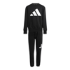adidasBOŞJ BL FL JOG 240
