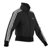 adidasCEKET VE MONTFB CLASSIC TT