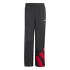 adidasEŞOFMAN ALTITRACK PANT