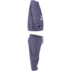 adidasGİYİMI MONSTER SET