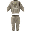adidasGİYİMI MONSTER SET
