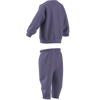 adidasGİYİMI MONSTER SET