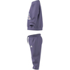 adidasGİYİMI MONSTER SET
