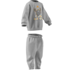 adidasGİYİMI MONSTER SET