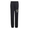 adidasGİYİMJ CLGT FL PNT