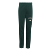 adidasGİYİMJ CLGT FL PNT
