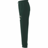 adidasGİYİMJ CLGT FL PNT