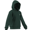 adidasGİYİMJ CLGT FZ HD