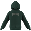 adidasGİYİMJ CLGT FZ HD