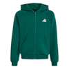 adidasGİYİMJ CLGT FZ HD