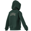 adidasGİYİMJ CLGT FZ HD