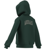 adidasGİYİMJ CLGT FZ HD