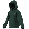 adidasGİYİMJ CLGT FZ HD