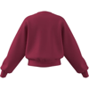 adidasGİYİMJG CLGT V-NECK