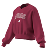 adidasGİYİMJG CLGT V-NECK