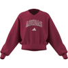 adidasGİYİMJG CLGT V-NECK