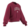 adidasGİYİMJG CLGT V-NECK