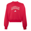 adidasGİYİMJG CLGT V-NECK