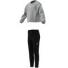 adidasGİYİMLG DY MI JOG