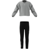 adidasGİYİMLG DY MI JOG