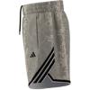 adidasŞORTCRAZYLITE ANIMA
