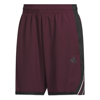 adidasŞORTCRAZYLITE SHORT