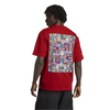 adidasTİŞÖRT VE ATLETFLAG GFX SS T