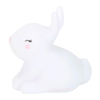 A Little Lovely Company Bunny Lamba