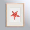 ÇERÇEVESİZ POSTER - STARFISH
