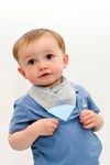 Cheeky Chompers Neckerchew Simple Classic