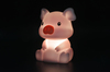 Dhink Zodiac Pig Gece Lambası