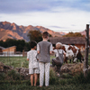 Fun In The Farm Print Şortlu Pijama Takımı