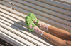 Meduse Sun Olive Sandals Kadın Sandalet Yeşil