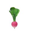 RAMONA THE RADISH - TURP ŞEKLİNDE DOĞAL DİŞ KAŞIYICI & BANYO OYUNCAĞI