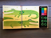 Rubber Stamp Activities Animals