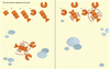Rubber Stamp Activities Animals